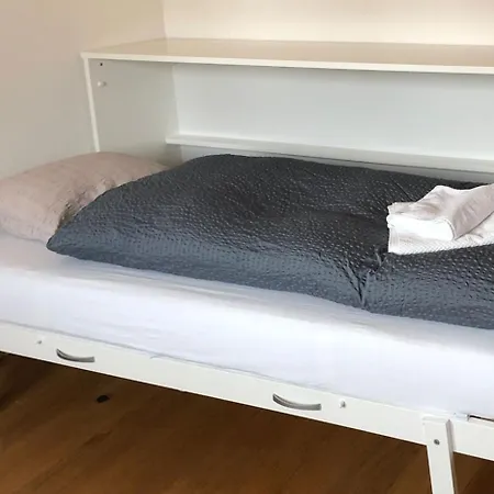 Haus Birke - Alpenglueck アパート Obergesteln